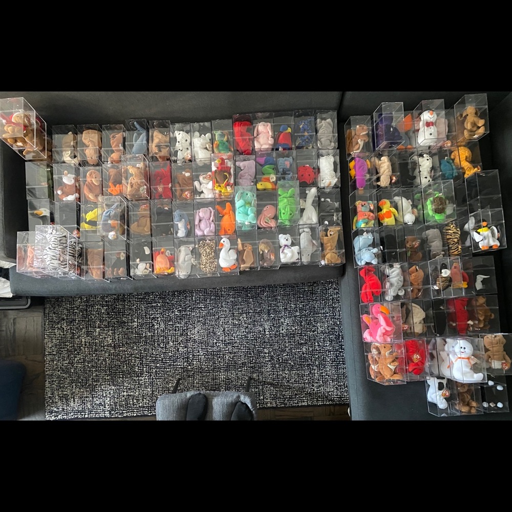 4th generation beanie babies in cases mwmt